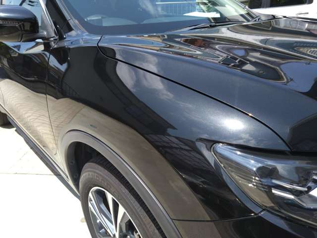 日産 エクストレイル 29